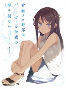 دانلود انیمه Seishun Buta Yarou wa Bunny Girl Senpai no Yume wo Minai Picture Drama