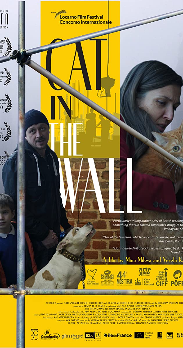 دانلود فیلم Cat in the Wall